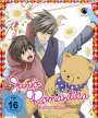 Chiaki Kon: Junjo Romantica Vol. 2, DVD