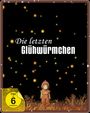 Isao Takahata: Die letzten Glühwürmchen (Steelbook), DVD