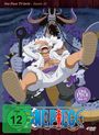 Konosuke Uda: One Piece TV-Serie Box 37, DVD,DVD,DVD,DVD