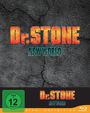 Shuuhei Matsushita: Dr. Stone Staffel 3 - New World Vol. 1 (mit Sammelschuber) (Blu-ray), BR