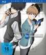 Shouta Ibata: Meisterdetektiv Ron Kamonohashi Staffel 1 Vol. 2 (Blu-ray), BR