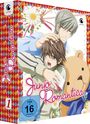 Chiaki Kon: Junjo Romantica Staffel 1 (Gesamtausgabe), DVD,DVD