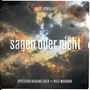 Malte Schiller & Spielvereinigung Süd: Sagen oder nicht, CD
