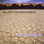 Elliott Sharp: Void Coordinates, CD