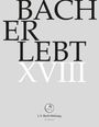 "Bach Er lebt XVIII" steht in großen Buchstaben. Unten befindet sich das Logo der J. S. Bach-Stiftung St. Gallen.