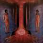 Rhys Bloodjoy: The Chaos in Veins, CD,CD