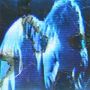 Buzz Kull: Fascination, CD