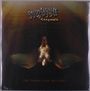Submarine Silence: Did Swans Ever See God, LP
