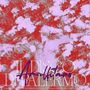 Text: "IL DISCO DI PALERMO". Darunter abstrakte, wolkenartige Muster in Rot und Lila.