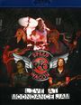 REO Speedwagon: Live At Moondance Jam 2010, BR