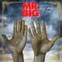 Mr. Big: Ten (Red Vinyl), LP