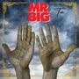 Mr. Big: Ten (Gold Marble Vinyl), LP
