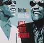 Stevie Wonder: Tribute To Uncle Ray, LP