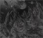 Devoid Of Thought: Outer World Graves (Limited Edition), CD