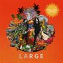 Mellow Mood: Large, LP