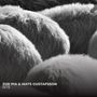 Zoe Pia & Mats Gustafsson: Rite, CD