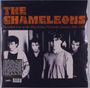 The Chameleons (Post-Punk UK): Recorded Live At The Manchester Hacienda. January 28Th. 1983 (Limited Edition) (Orange Vinyl), LP