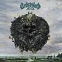 Entombed A.D.: Back To The Front  (Limited-Edition) (Double-Picture-Disc), LP,LP