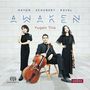 : Yugen Trio - Awaken, SACD
