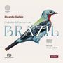 "Ricardo Gallén – Preludes & Dances from Brazil; Sérgio Assad, Heitor Villa-Lobos." Illustration eines Vogels.