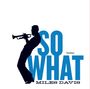 Miles Davis: So What (180g) (Limited Edition) (Virgin Vinyl), LP
