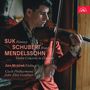 Texte: SUK Fantasy, SCHUBERT Rondo, MENDELSSOHN Violin Concerto in D minor. Jan Mráček Violin. Czech Philharmonic. John Eliot Gardiner. Ein Geiger spielt konzentriert. Rechts oben ist ein rotes Logo.