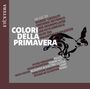 ET'CETERA Logo links. "COLORI DELLA PRIMAVERA" in Weiß, Künstlernamen daneben, schwarz-weißes Hasenbild darunter.