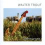 Walter Trout: Common Ground (White Vinyl), LP