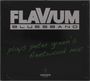 Text: "FLAVIUM BLUESBAND plays peter green's fleetwood mac", darunter "CONCERTO RECORDS". Schwarzer Hintergrund.