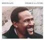 Marvin Gaye: Dream Of A Lifetime, CD