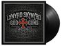 Lynyrd Skynyrd: God & Guns (180g), LP