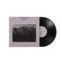 Text: Kenny Barron Trio, Cecil McBee, Al Foster, LANDSCAPE, Livetree. Cover zeigt Gräser im Wind; Schallplatte sichtbar.