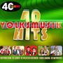 : 40 Volksmusik Hits, CD,CD