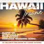 : Hawaii Träume: 30 beliebte Melodien mit Hawaii-Gitarre, CD,CD