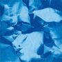 Echo Boomer: The Shape Of Things That Never Came, LP