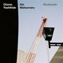 "Otomo Yoshihide, Kei Matsumaru, Shutsumin" sind die Texte. Kran und Laterne vor blauem Himmel und Gebäude.