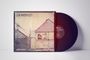 Dim Prospects: Abscheu und Neugier (180g), LP