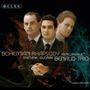 Benaud Trio - Bohemian Rhapsody, CD