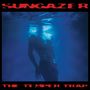 "SUNGAZER", "THE TEMPER TRAP" in roter Schrift. Unterwasser-Silhouette einer Person in Blau.