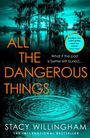 Stacy Willingham: All the Dangerous Things, Buch