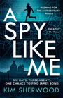 Kim Sherwood: A Spy Like Me, Buch