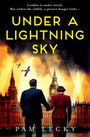 Pam Lecky: Under a Lightning Sky, Buch