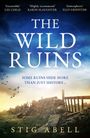 "The Wild Ruins; Some ruins hide more than just history...; Stig Abell." Ruinenlandschaft mit Vögeln und blauem Himmel.