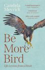"Buchcover: 'Be More Bird: Life Lessons from a Hawk', Zitate u.a. 'A small masterpiece'. Illustration eines fliegenden Falken."