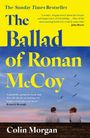 "The Ballad of Ronan McCoy" von Colin Morgan. Zwei Jungen sitzen auf einer Mauer unter einem blauen Himmel mit Vögeln.