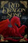Elin Lloyd: Red Dragon Song, Buch