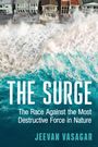 Jeevan Vasagar: The Surge, Buch