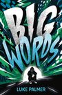 Luke Palmer: Big Words, Buch