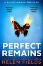 "First he takes them. Then he breaks them." Ein brennender Schmetterling auf blauem Hintergrund. "Perfect Remains".