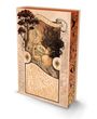 "Sarah A. Parker" und "The Ballad of Falling Dragons" stehen auf dem Cover eines Buches mit einer Illustration einer Elfe und Bäume.